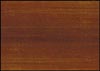 Chestnut 365