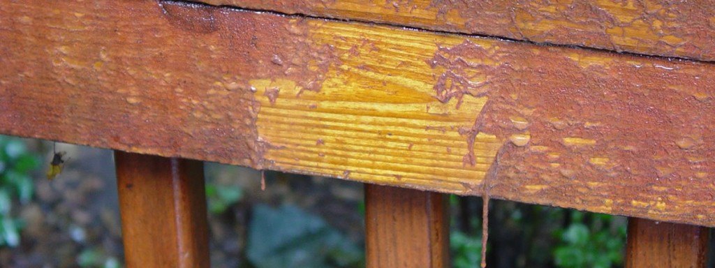 Two Tone Deck Staining Sealing Maintenance Md Va